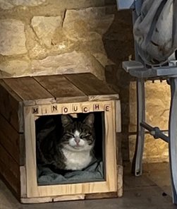Minouche